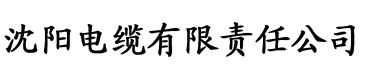 乡村小神医王昊完整版电缆厂logo